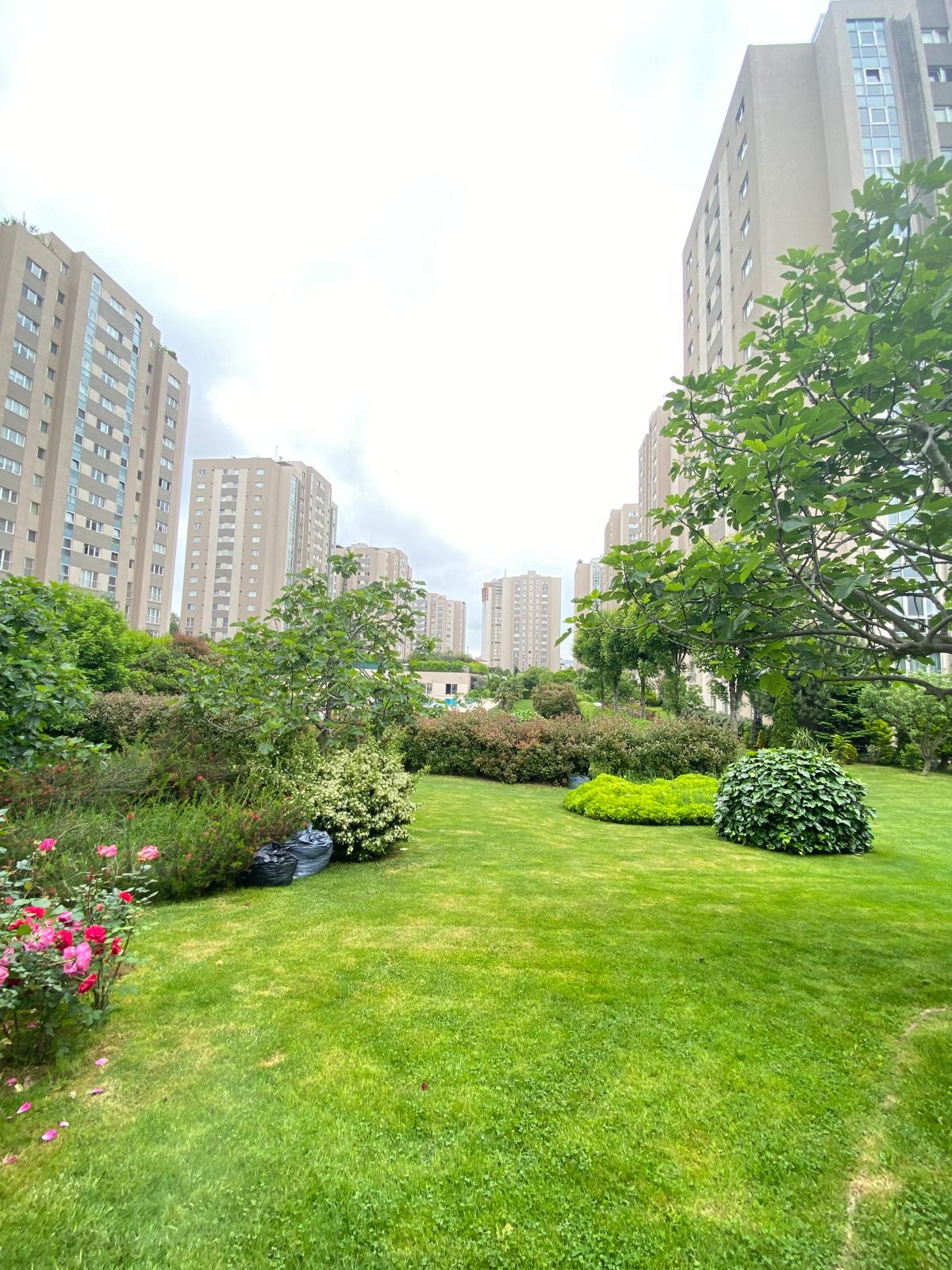 whatsapp image 2026 02 16 at 19.13.06